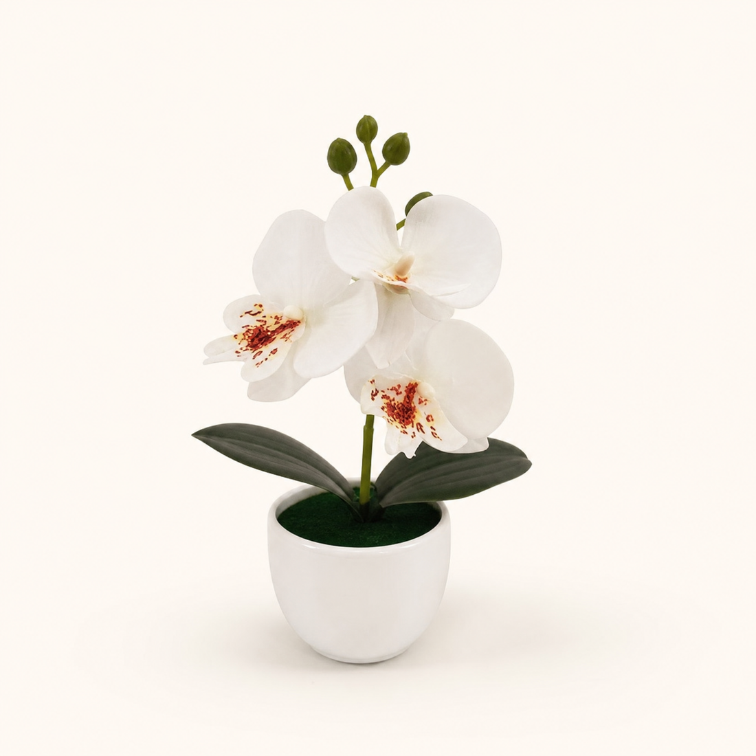 Faux Orchid Bonsai Pot – Mini Silk Phalaenopsis Desktop Decor Home Office Gift
