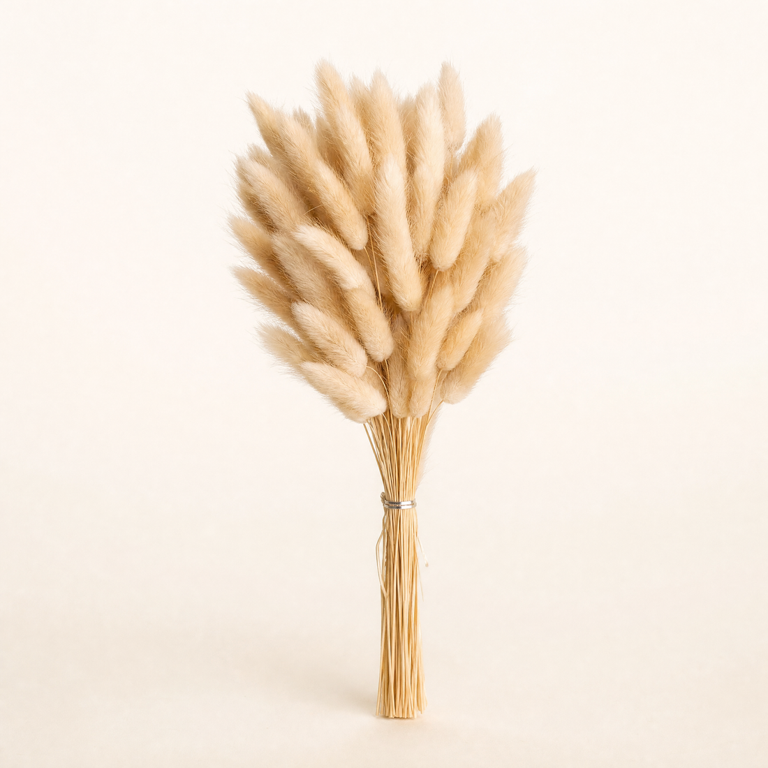 Dried Bunny Tail Grass Bouquet – Lagurus Ovatus Wedding Decor Home Floral Stems
