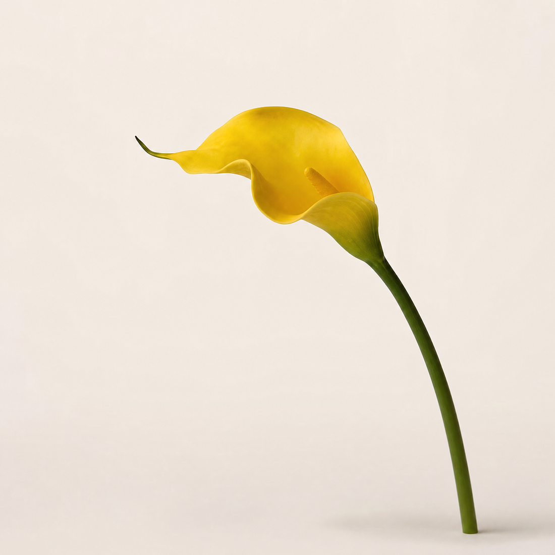 Faux Calla Lily Stems Set of 10/20 – EVA Flower Home Decor Wedding Table Arrangement