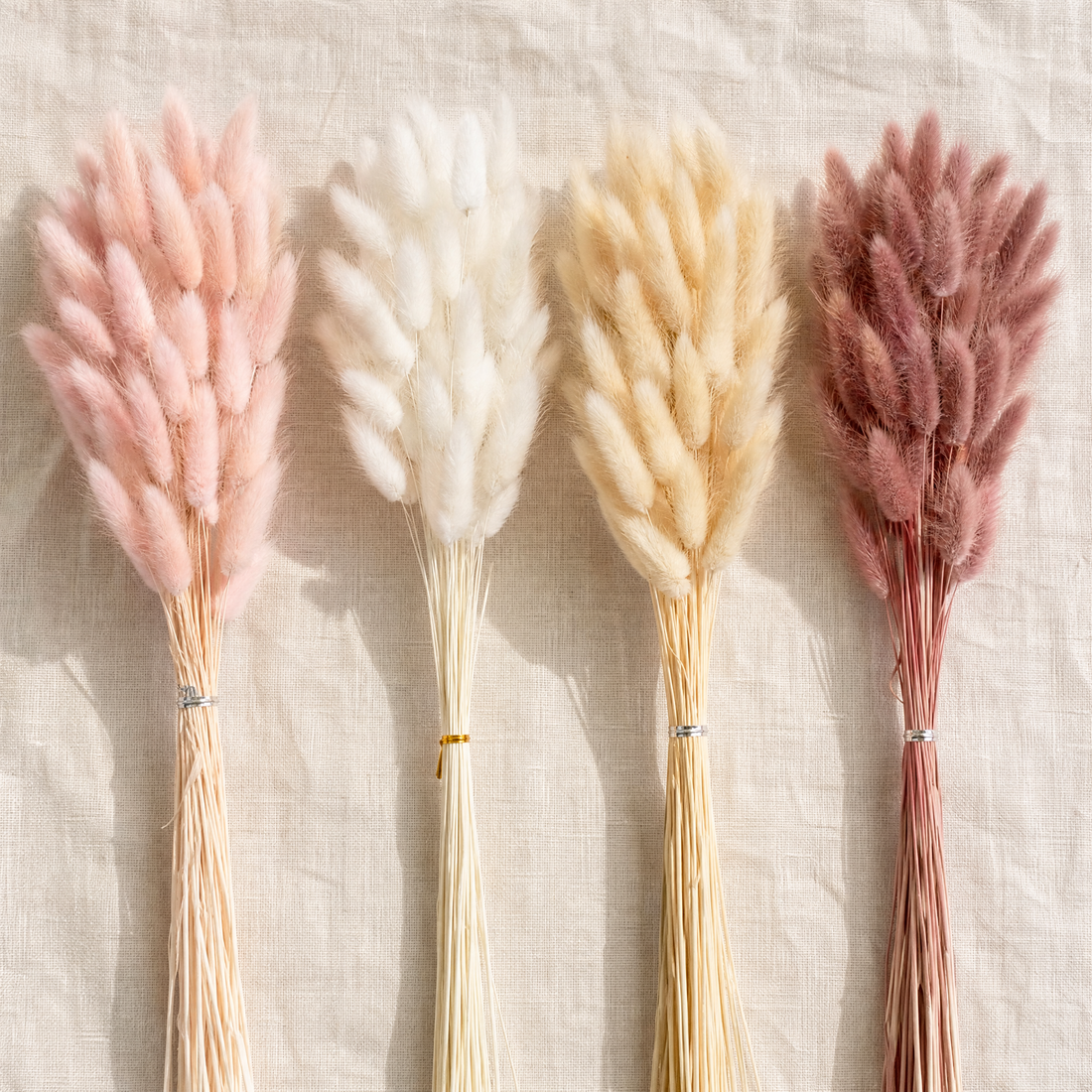 Dried Bunny Tail Grass Bouquet – Lagurus Ovatus Wedding Decor Home Floral Stems