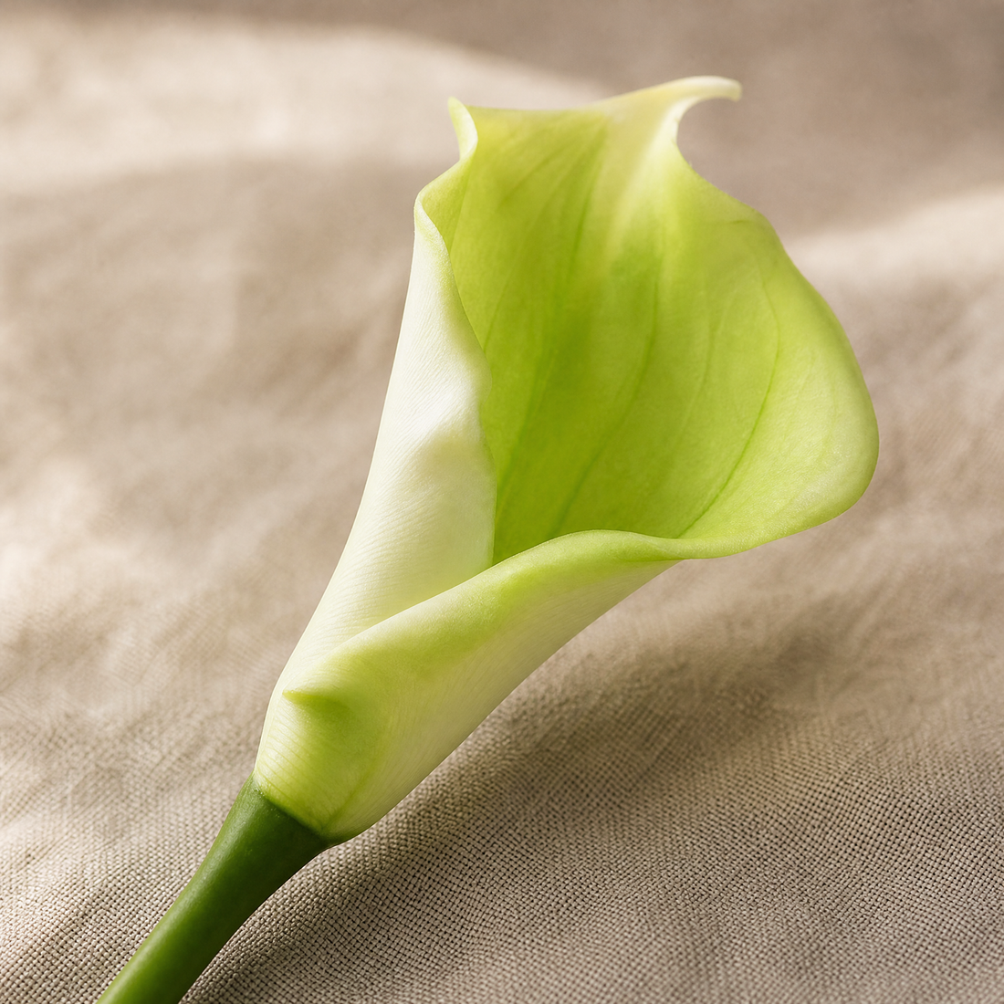 Calla Lily Faux Stem – PU Single Stem, 67cm, Wedding Table Floral Decor