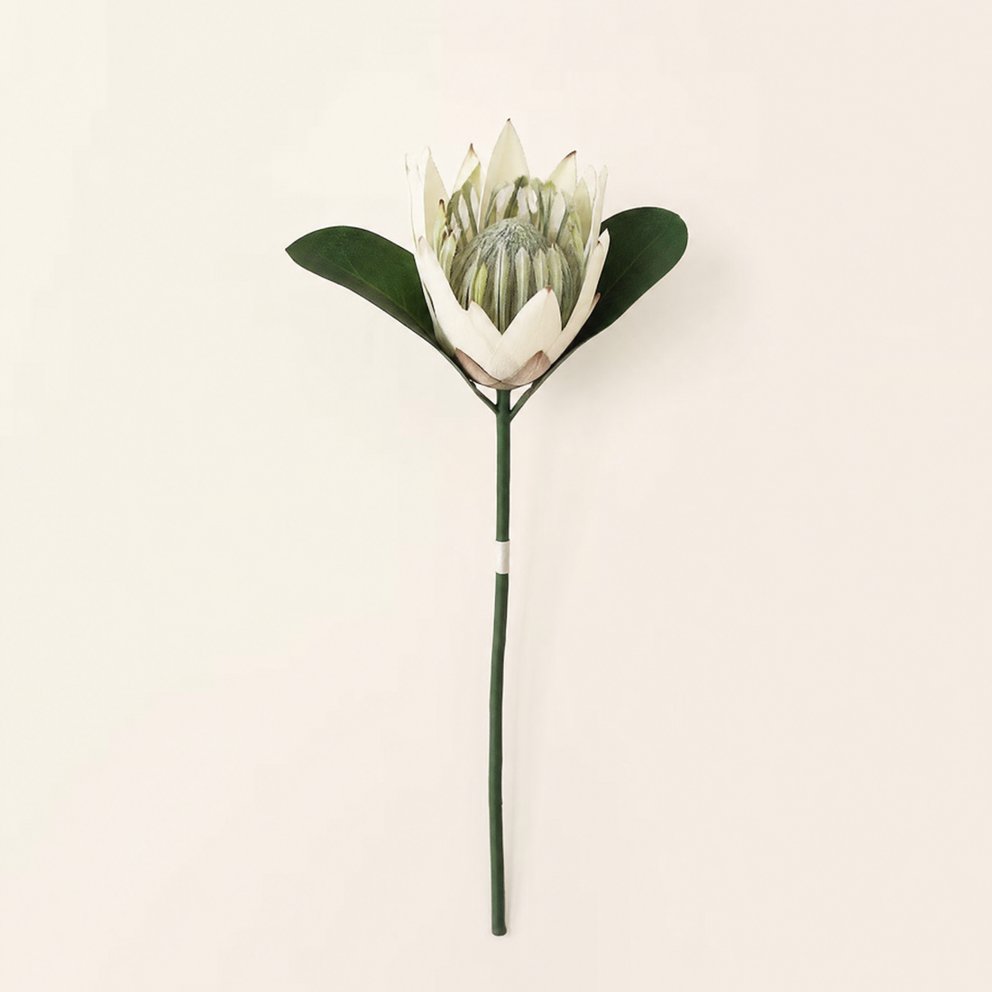 Faux King Protea Stem – Silk Artificial Flower for Wedding and Home Decor