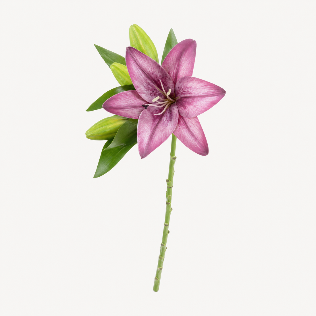 Faux Lily Branch – Artificial Stem for Wedding and Home Decor, 41cm