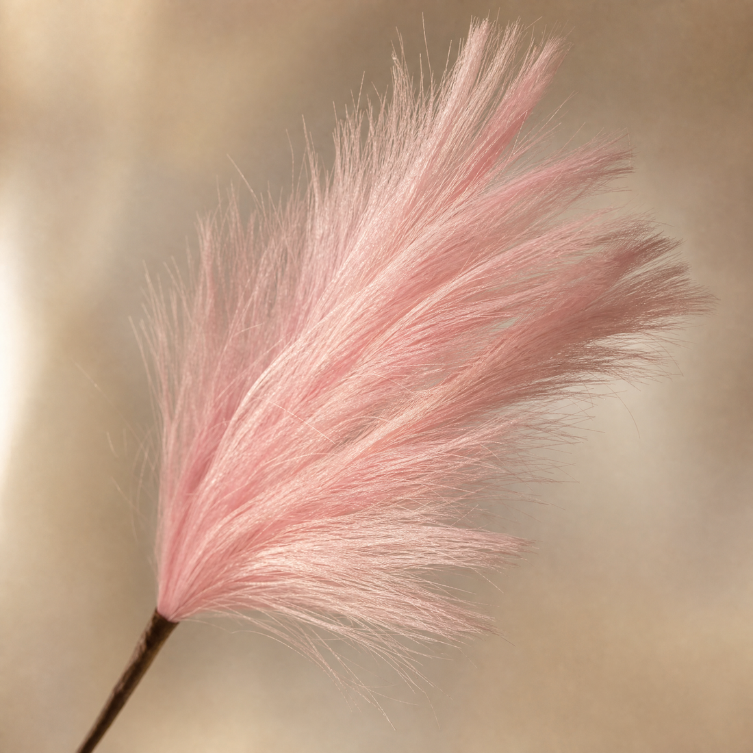 Silk Reed Stems Faux Pampas Bunch – Home Decor Wedding Vase Arrangement 80cm