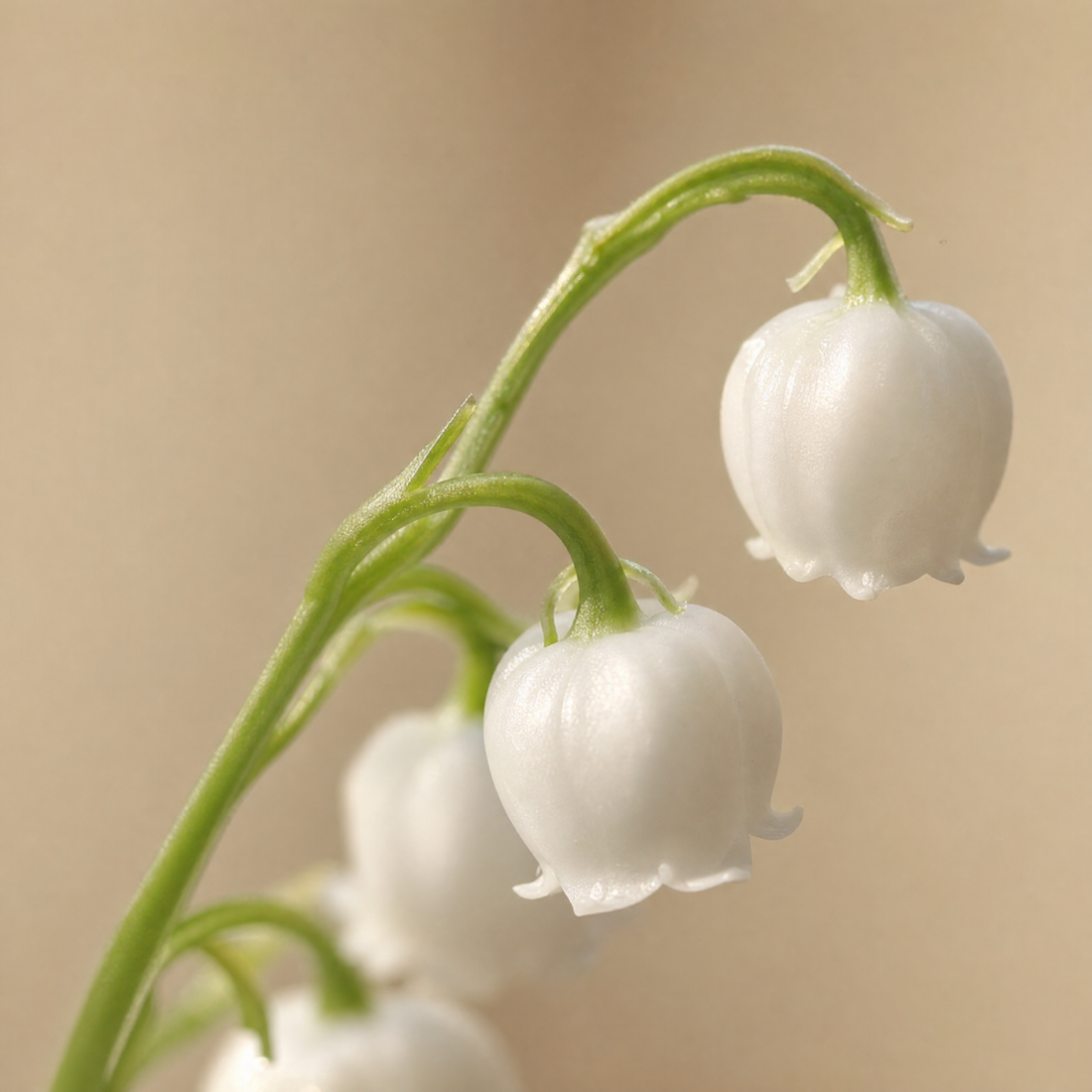 Lily of the Valley Artificial Stem – Faux White Flower for Home Vase Decor 35cm