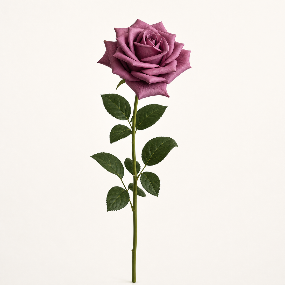 Faux Rose Stems Set of 5 – Real Touch Silk, Bridal Bouquet, Home Floral Decor
