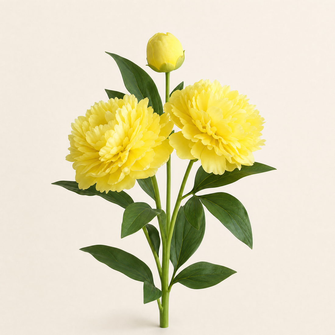 Faux Silk Peony Stem – 30 Inch Artificial Flower for Wedding Table Centerpiece