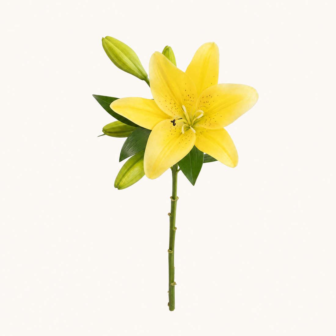 Faux Lily Branch – Artificial Stem for Wedding and Home Decor, 41cm