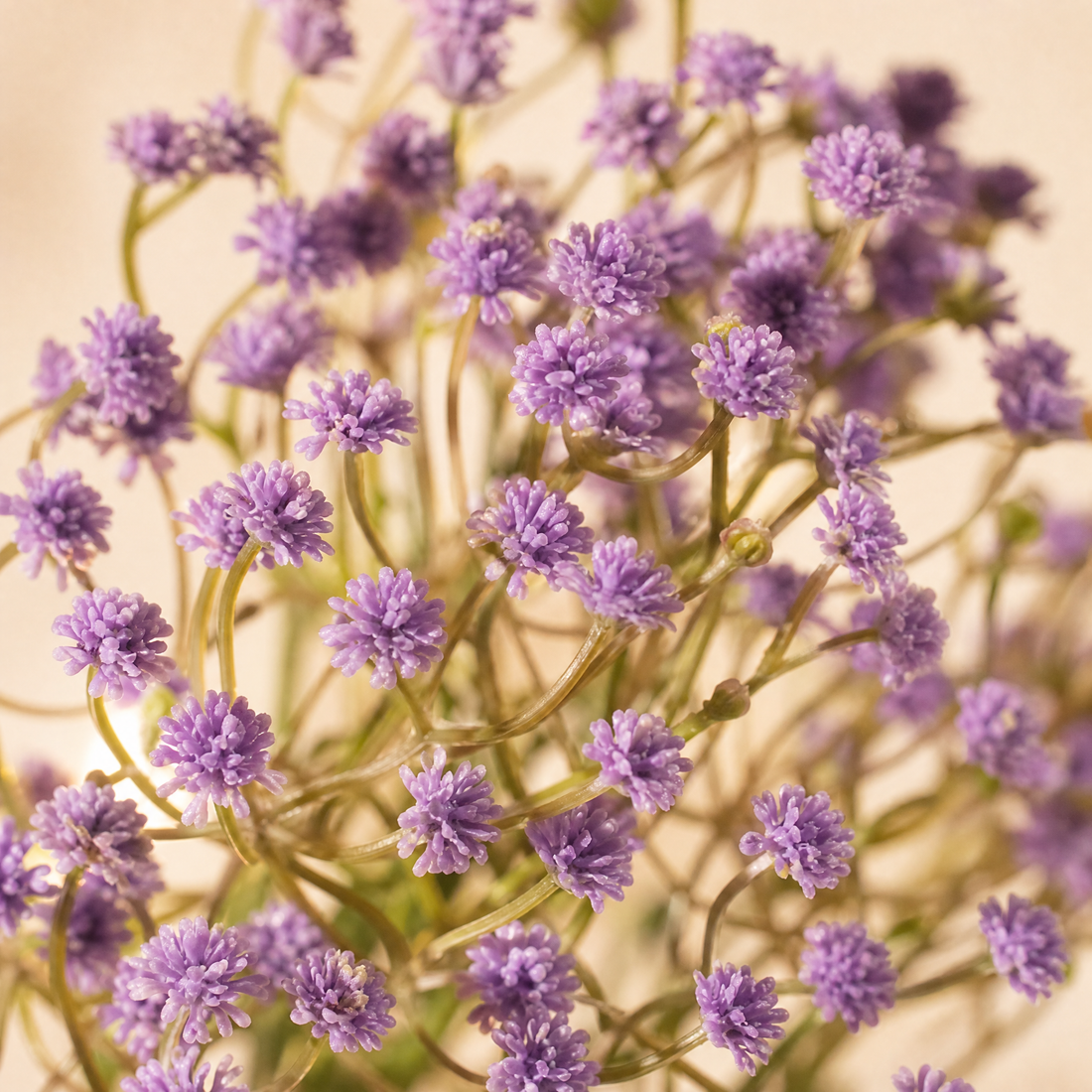 Silk Gypsophila Stems – Faux Baby's Breath for Weddings and Home Decor