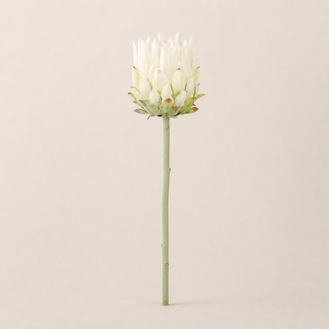 Faux Protea Stem – Lifelike Silk Artichoke Flower for Home Decor and Wedding