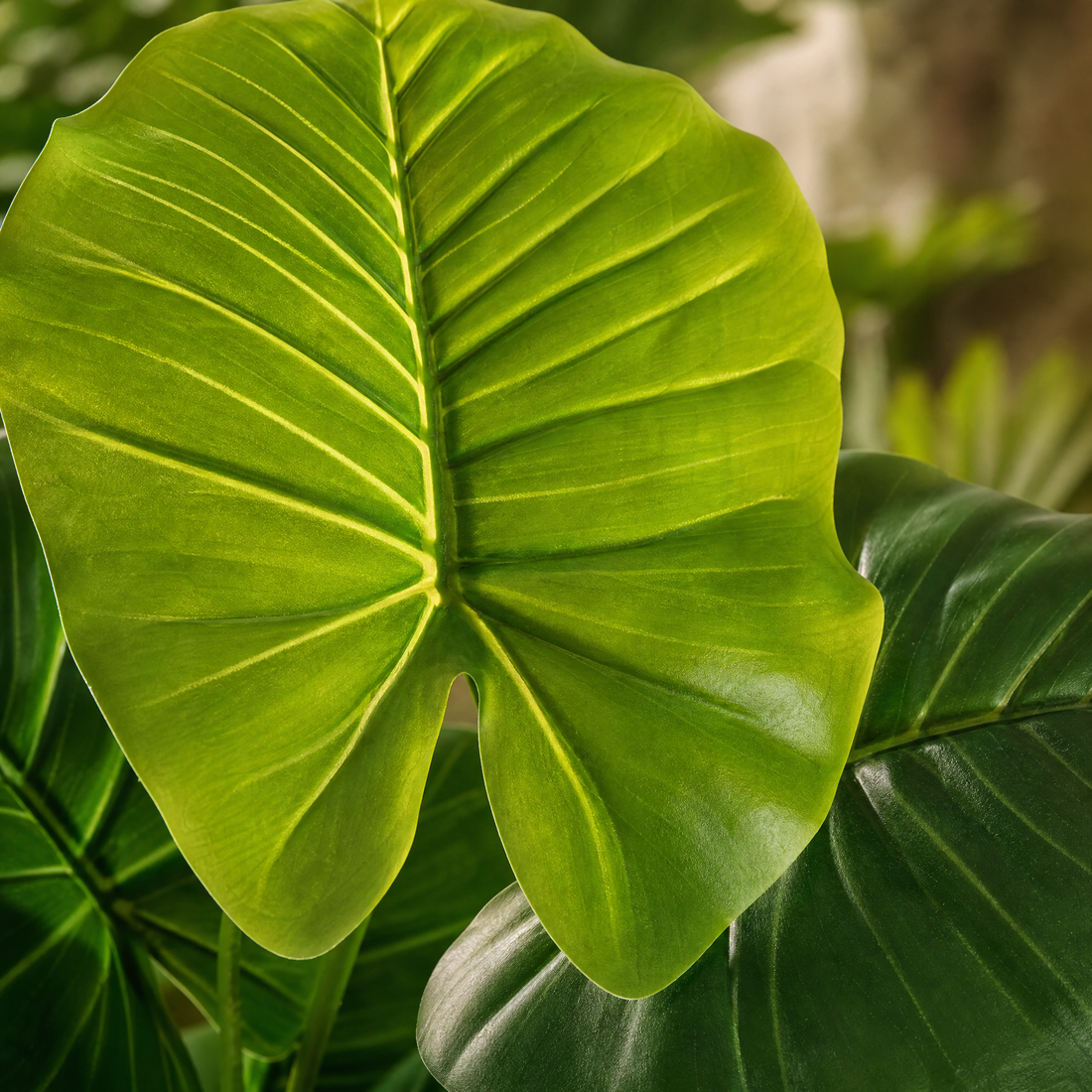 Artificial Tropical Plant Stem 100cm – 18 Leaf Faux Taro for Indoor Living Room Decor