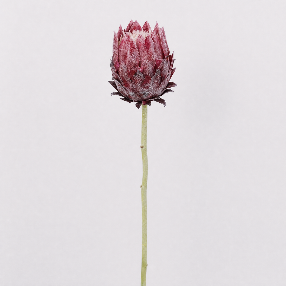 Faux Protea Stem – Lifelike Silk Artichoke Flower for Home Decor and Wedding
