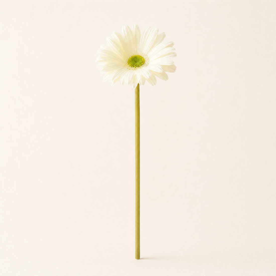 Faux Gerbera Stem – PU Artificial Flower for Home, Wedding and Desk Decor