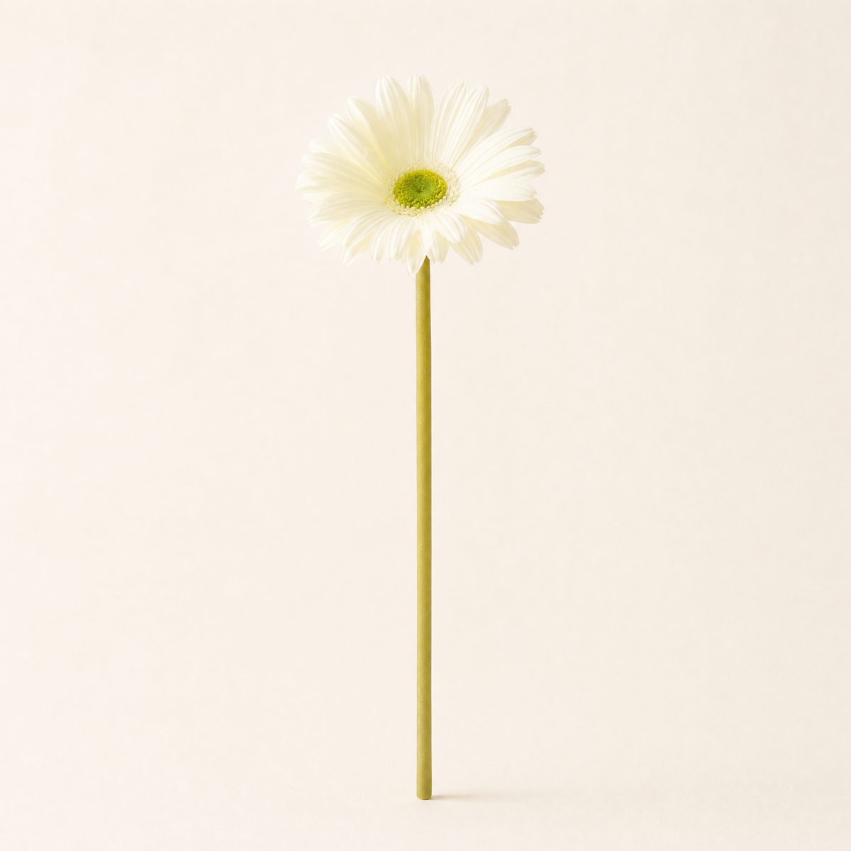 Faux Gerbera Stem – PU Artificial Flower for Home, Wedding and Desk Decor