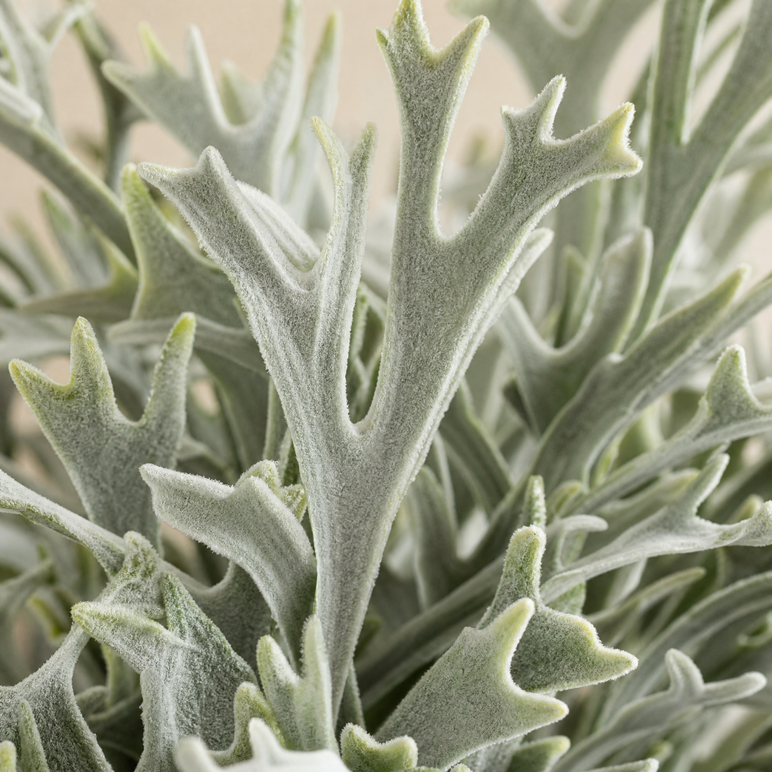 Artificial Staghorn Fern Bunch – Faux Silk Greenery Stems for Home and Wedding Styling