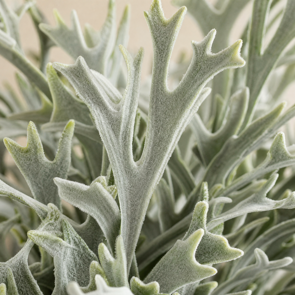 Artificial Staghorn Fern Bunch – Faux Silk Greenery Stems for Home and Wedding Styling