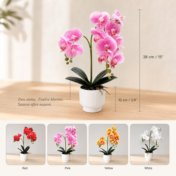 Faux Orchid Arrangement in Pot – Silk Phalaenopsis Bonsai Home Office Desk Decor