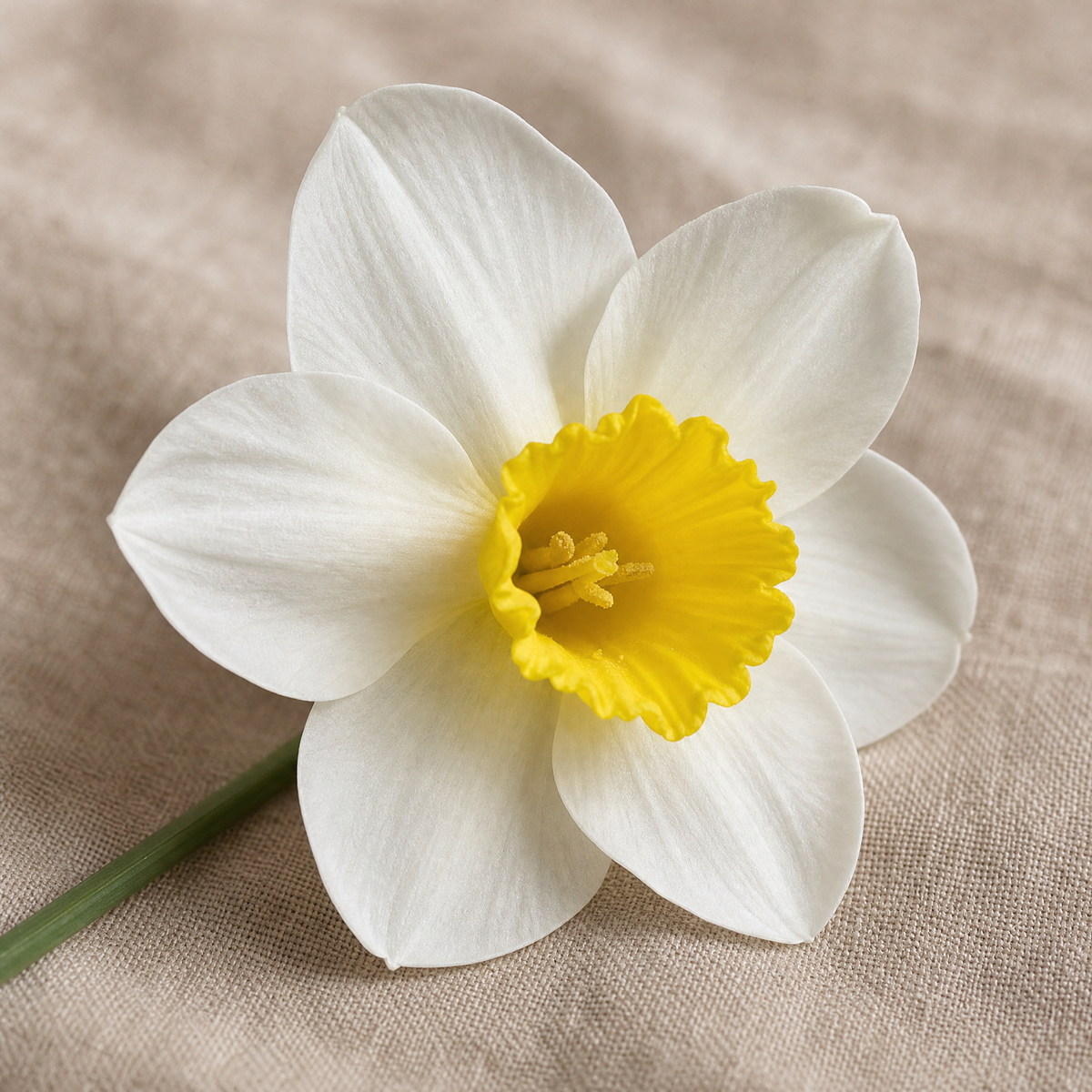 Artificial Daffodil Bouquet – Faux Narcissus Bouquet for Home Wedding Decor