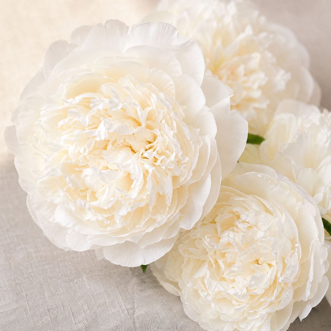 Artificial Peony Bouquet 5 Stems – Silk Faux Flowers Wedding Bridal Home Decor