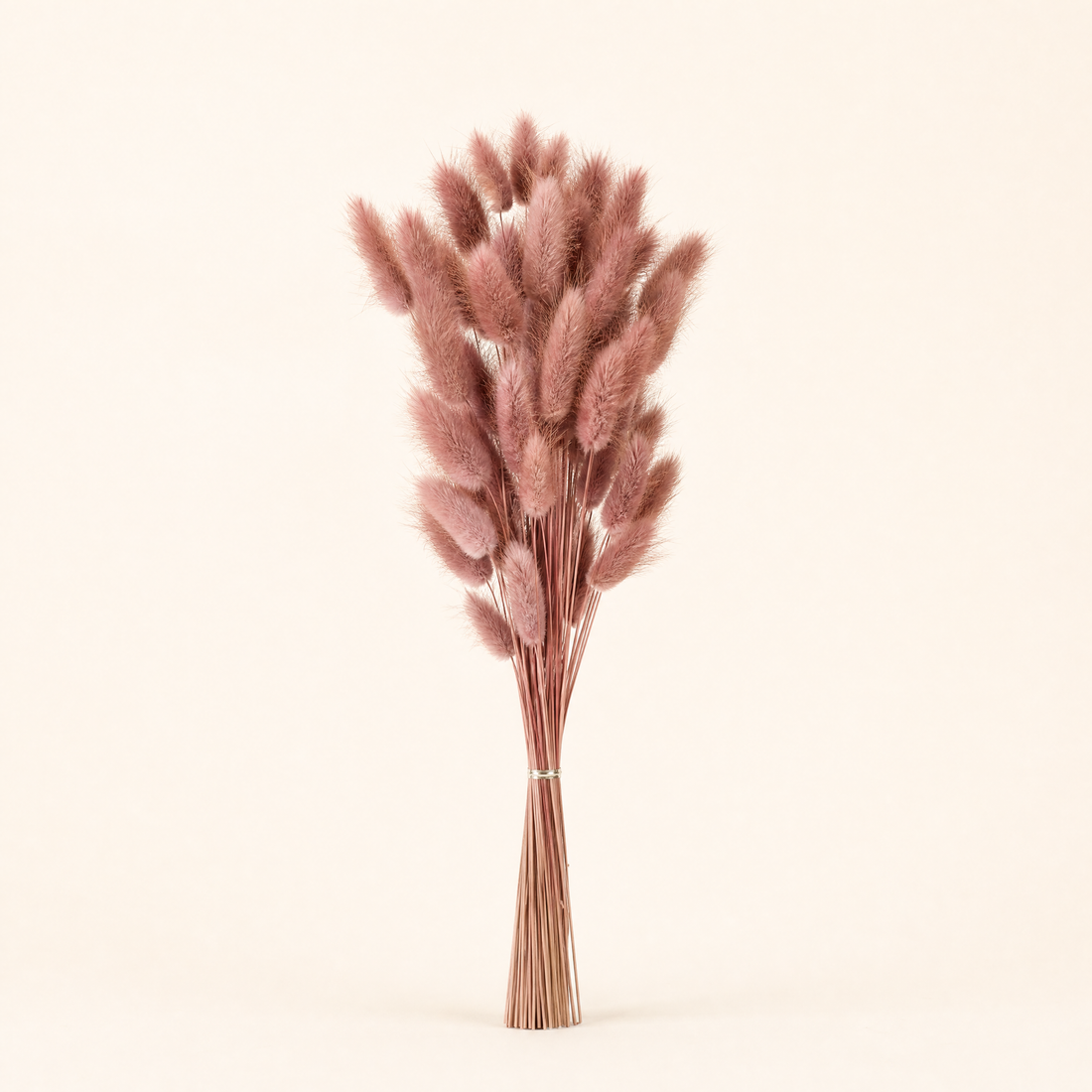Dried Bunny Tail Grass Bouquet – Lagurus Ovatus Wedding Decor Home Floral Stems