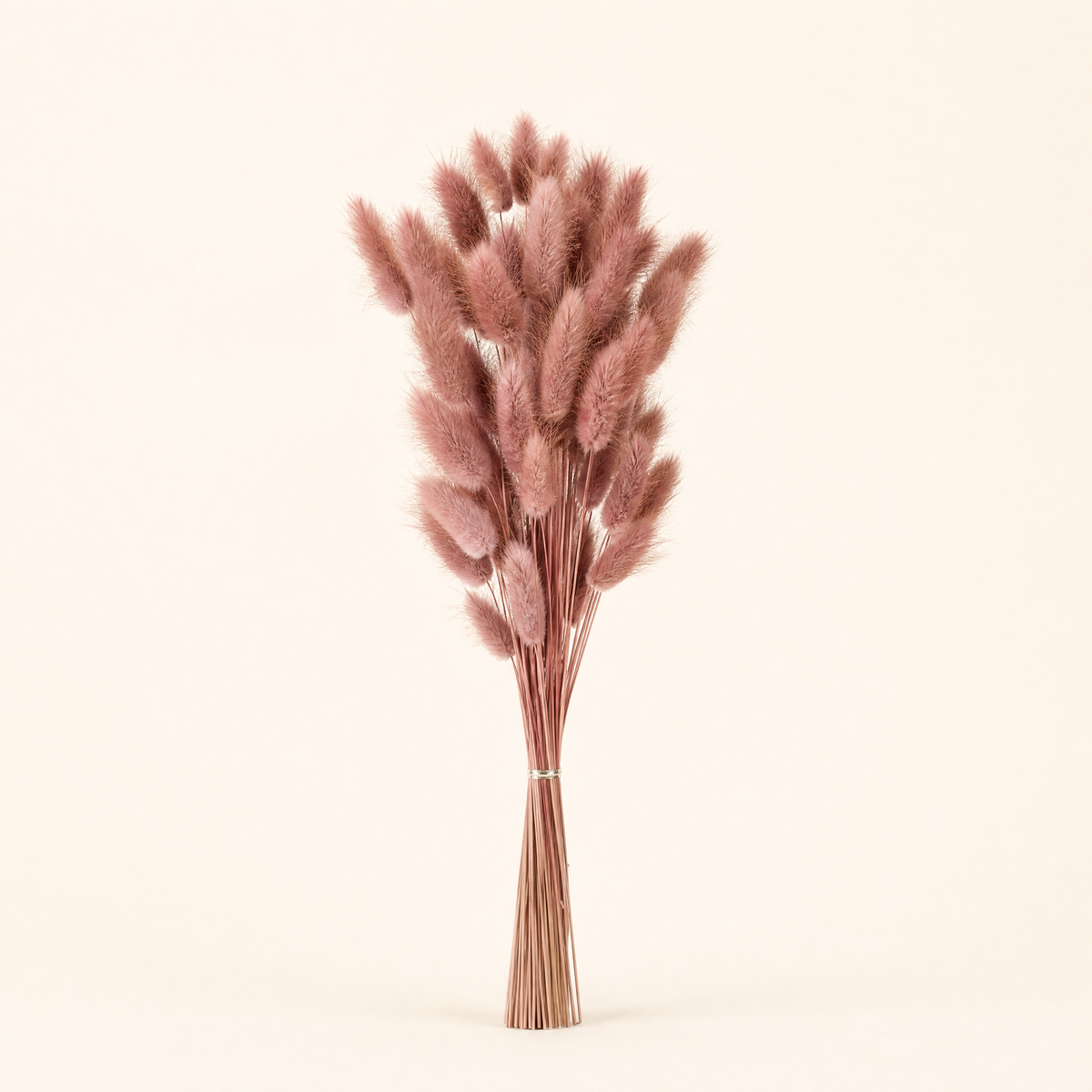 Dried Bunny Tail Grass Bouquet – Lagurus Ovatus Wedding Decor Home Floral Stems