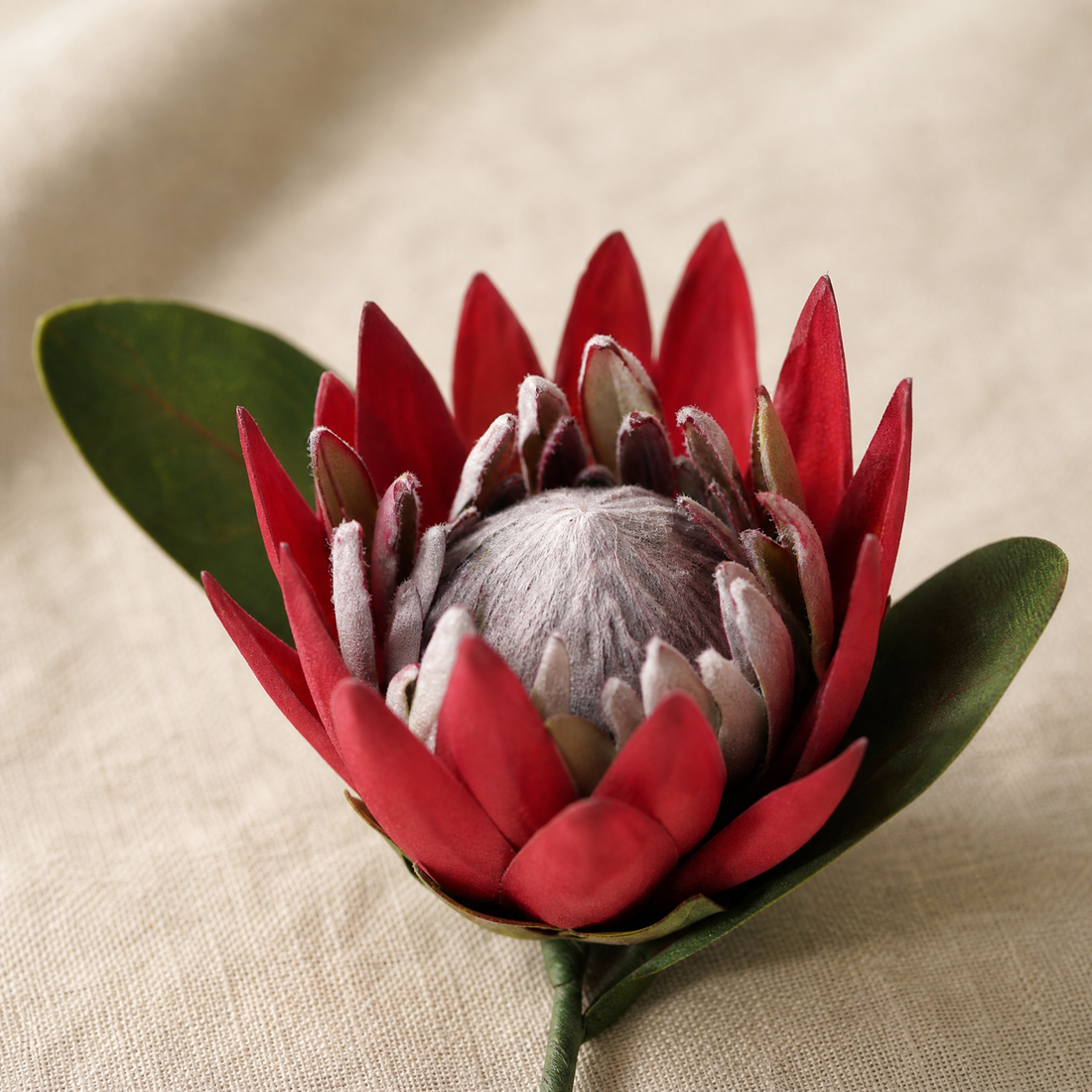 Faux King Protea Stem – Silk Artificial Flower for Wedding and Home Decor