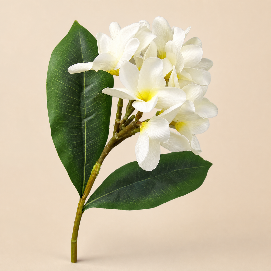 Artificial Plumeria Branch – Silk Frangipani White Flower Stem Faux Floral Decor
