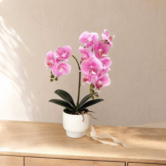 Faux Orchid Arrangement in Pot – Silk Phalaenopsis Bonsai Home Office Desk Decor