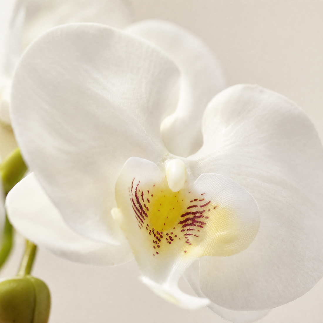 Artificial Orchid Stem – 9 Heads 98cm Faux Phalaenopsis for Home Wedding Decor