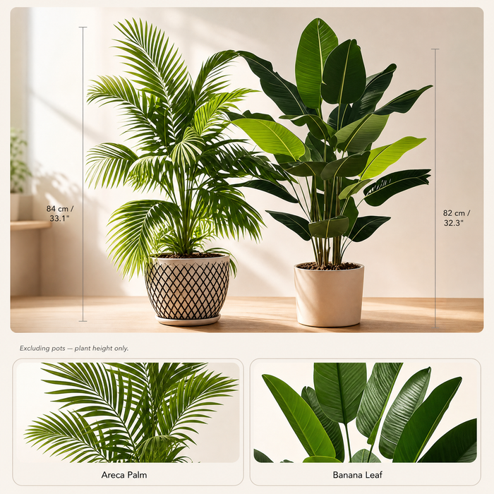 Artificial Palm Tree Set – 82cm Faux Tropical Plants for Living Room Home Decor