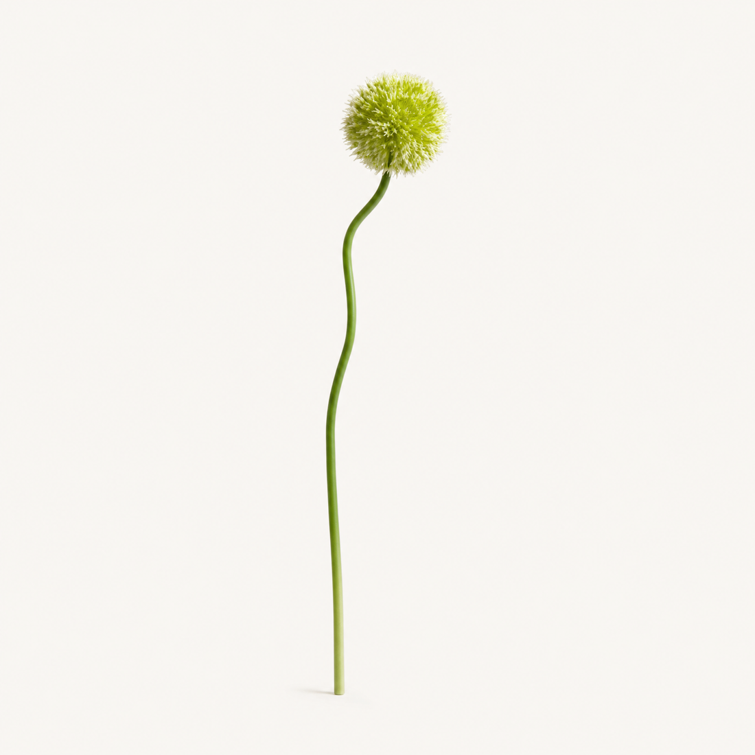 Faux Allium Stems Set of 10 – Round Ball Flowers for Vase, Wedding and Home Decor
