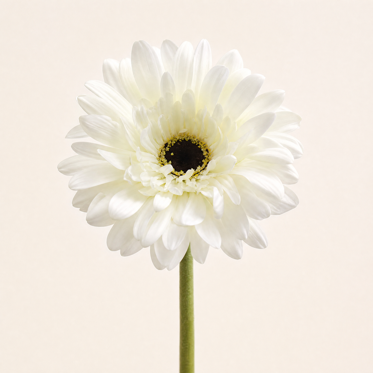 Artificial Gerbera Daisy Bouquet – Silk Flower Heads for Wedding Home Garden Decor