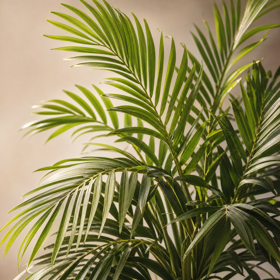 Artificial Palm Tree Set – 82cm Faux Tropical Plants for Living Room Home Decor