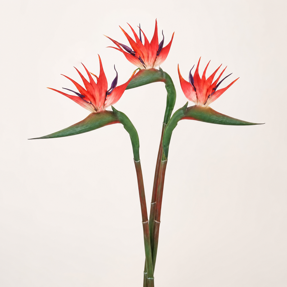 Artificial Bird of Paradise Stem – Faux Strelitzia 24.5" Long Stem Home Decor