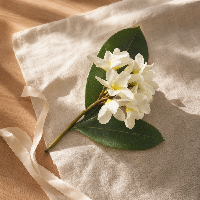 Artificial Plumeria Branch – Silk Frangipani White Flower Stem Faux Floral Decor