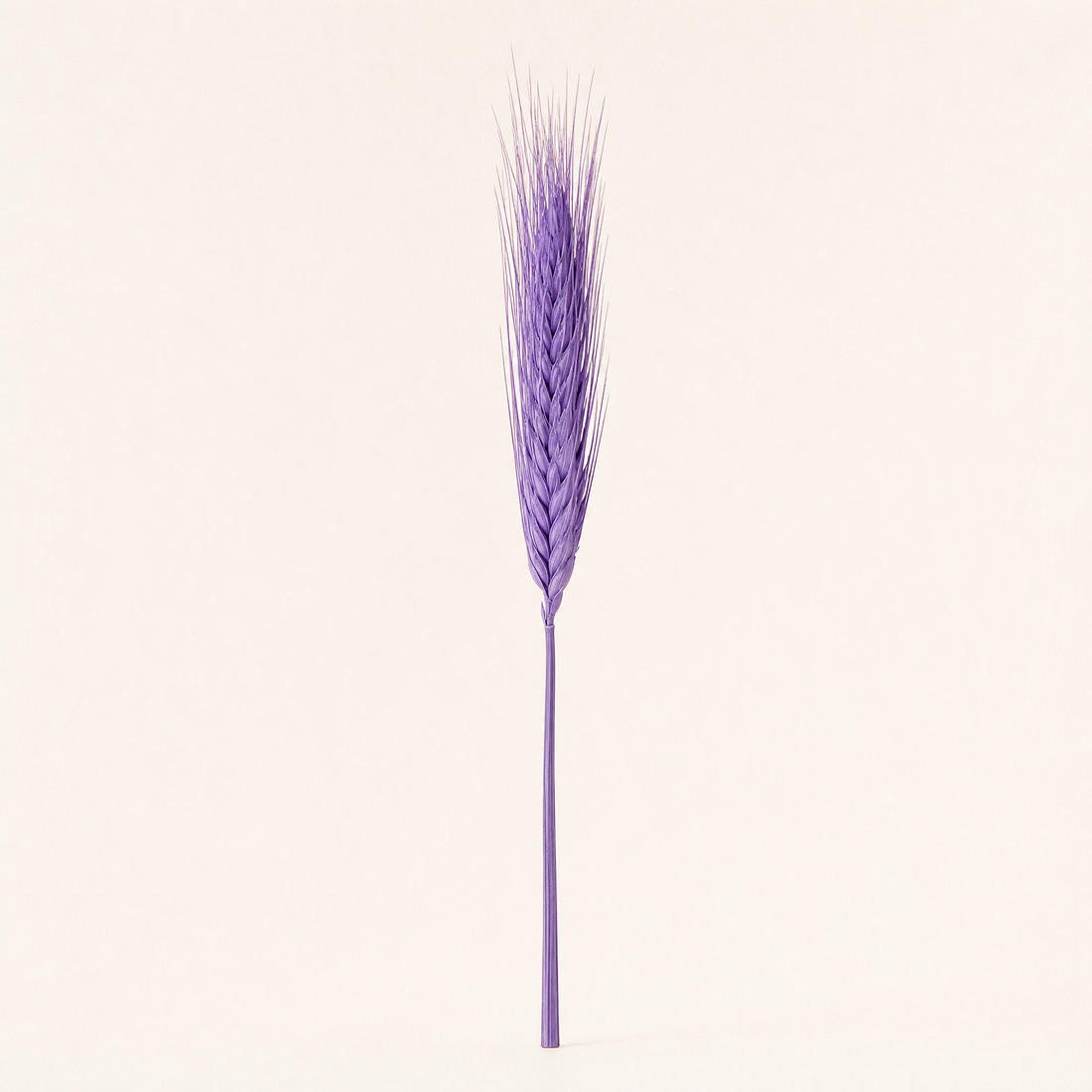 Dried Wheat Ears Bunch – Natural Botanical Stems for Bouquets, Wreaths and Home Decor