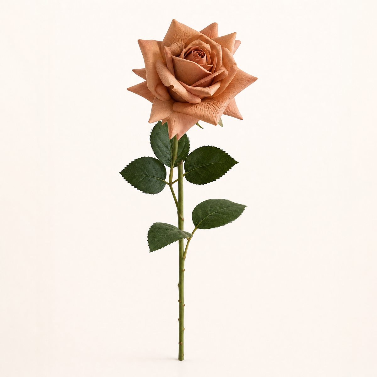 Faux Rose Stems Set of 5 – Real Touch Silk, Bridal Bouquet, Home Floral Decor