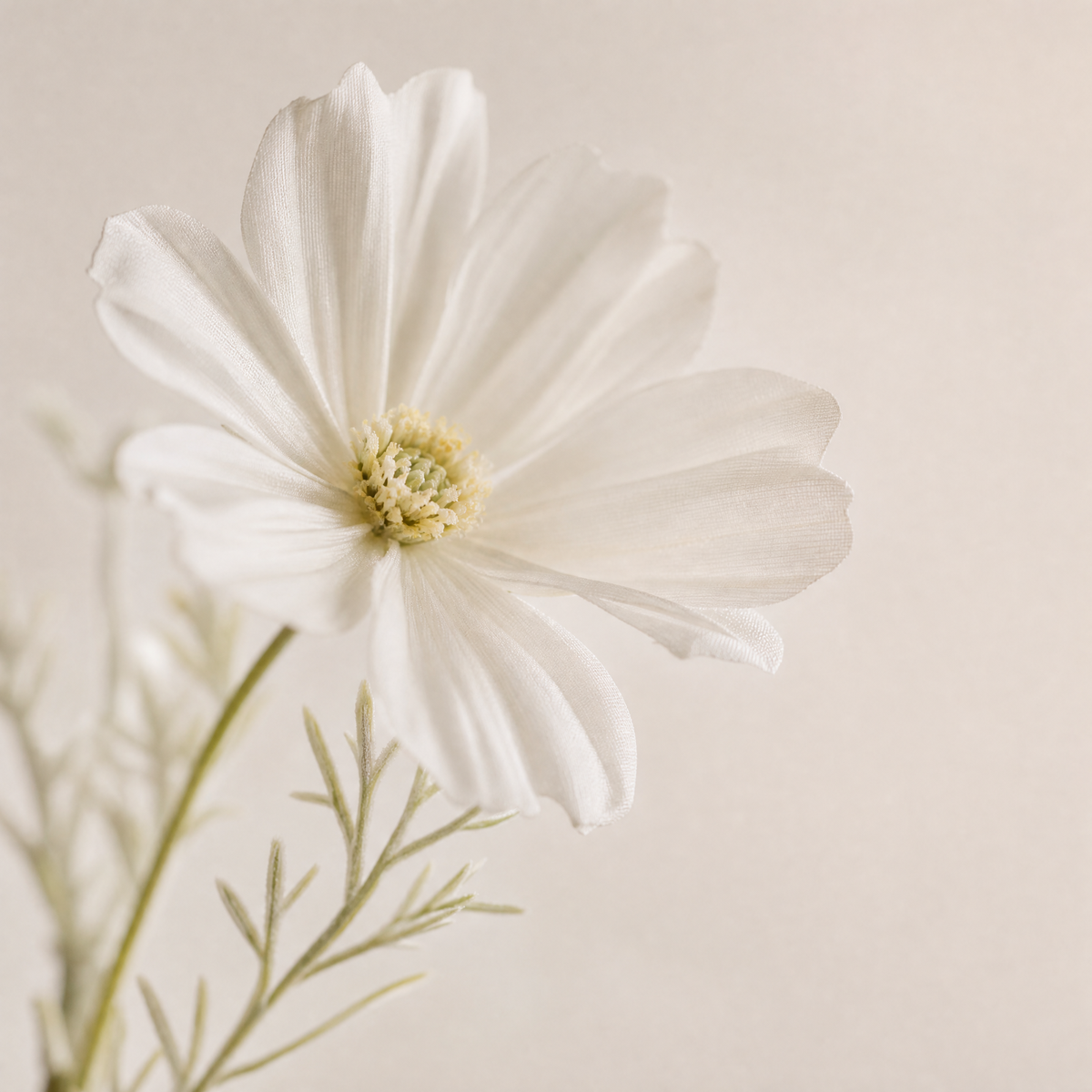 Faux Cosmos Flower Stem – Silk Flocked, 60 cm, Wedding Table Arrangement Decor