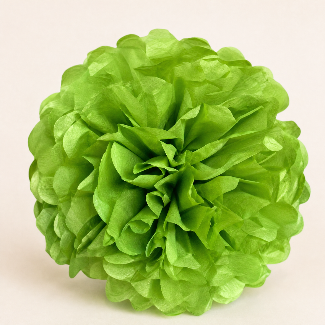 Paper Pom Poms 5 Pack – 4 to 12 Inch Wedding Birthday Party Hanging Decor
