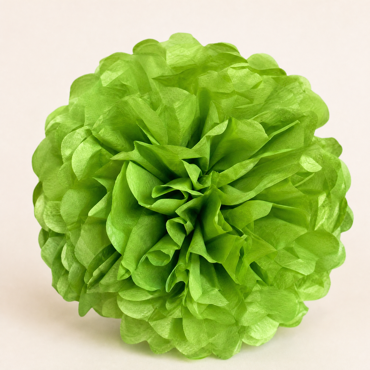 Paper Pom Poms 5 Pack – 4 to 12 Inch Wedding Birthday Party Hanging Decor