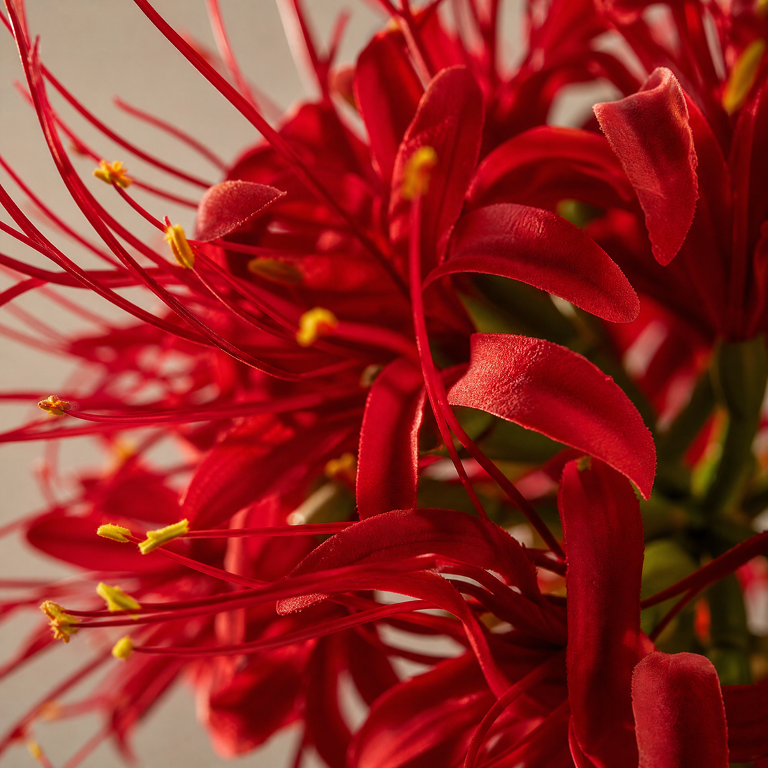 Artificial Higanbana Stem – Real Touch Silk Faux Equinox Flower Branch Home Decor