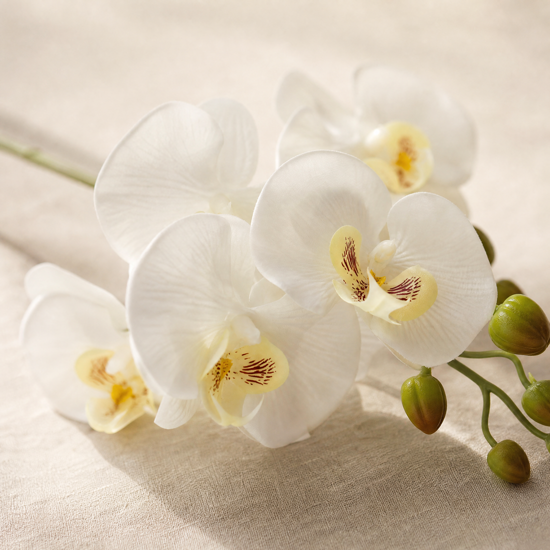 Artificial Orchid Stem – 9 Heads 98cm Faux Phalaenopsis for Home Wedding Decor