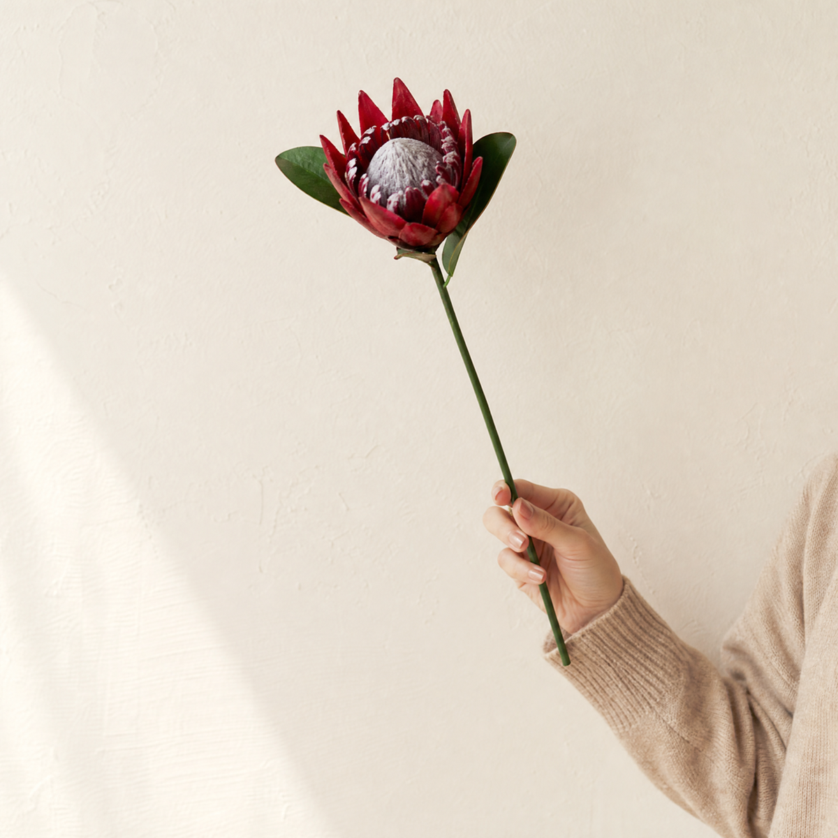 Faux King Protea Stem – Silk Artificial Flower for Wedding and Home Decor