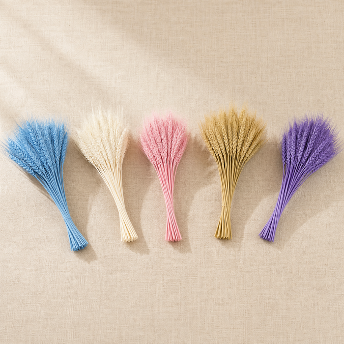 Dried Wheat Ears Bunch – Natural Botanical Stems for Bouquets, Wreaths and Home Decor