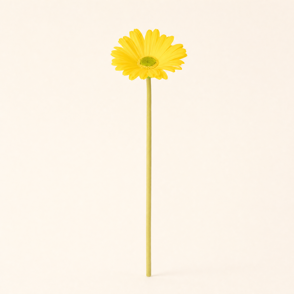 Faux Gerbera Stem – PU Artificial Flower for Home, Wedding and Desk Decor
