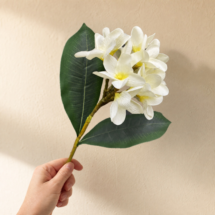 Artificial Plumeria Branch – Silk Frangipani White Flower Stem Faux Floral Decor
