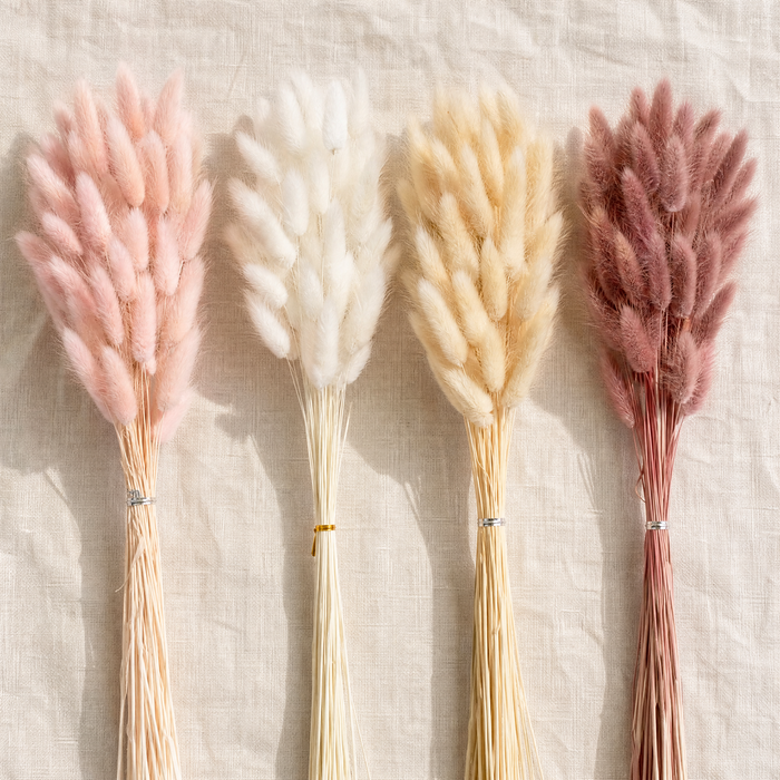 Dried Bunny Tail Grass Bouquet – Lagurus Ovatus Wedding Decor Home Floral Stems