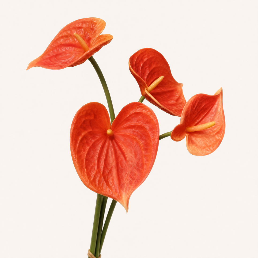 Faux Anthurium Stem Bundle – Real Touch PU Flower, Home and Wedding Decor