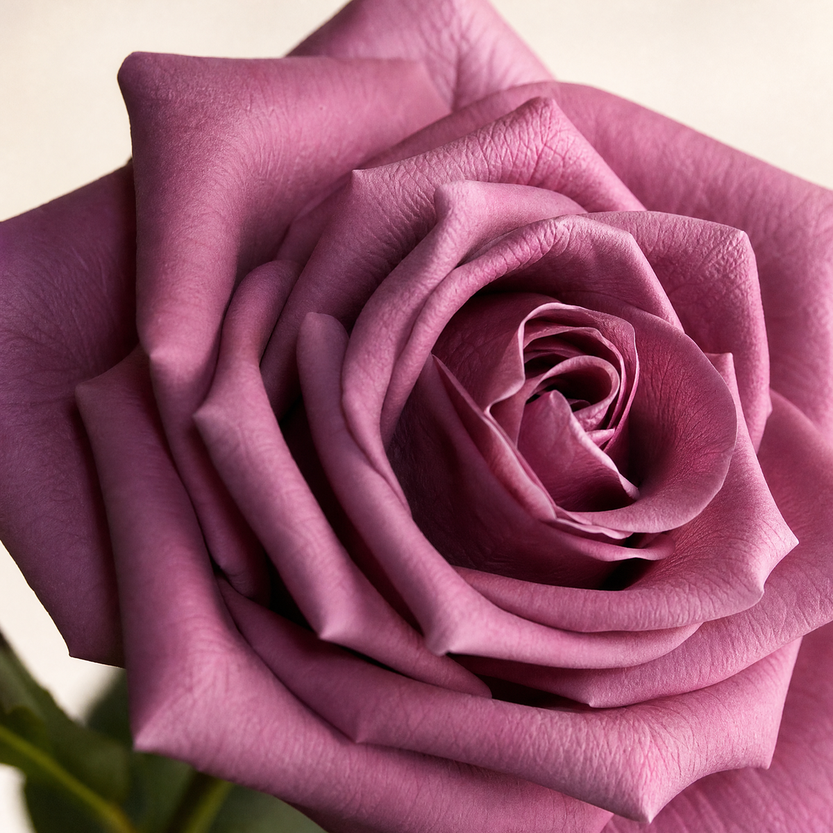 Faux Rose Stems Set of 5 – Real Touch Silk, Bridal Bouquet, Home Floral Decor