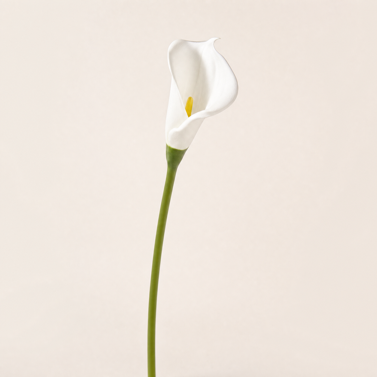 Calla Lily Faux Stem – PU Single Stem, 67cm, Wedding Table Floral Decor